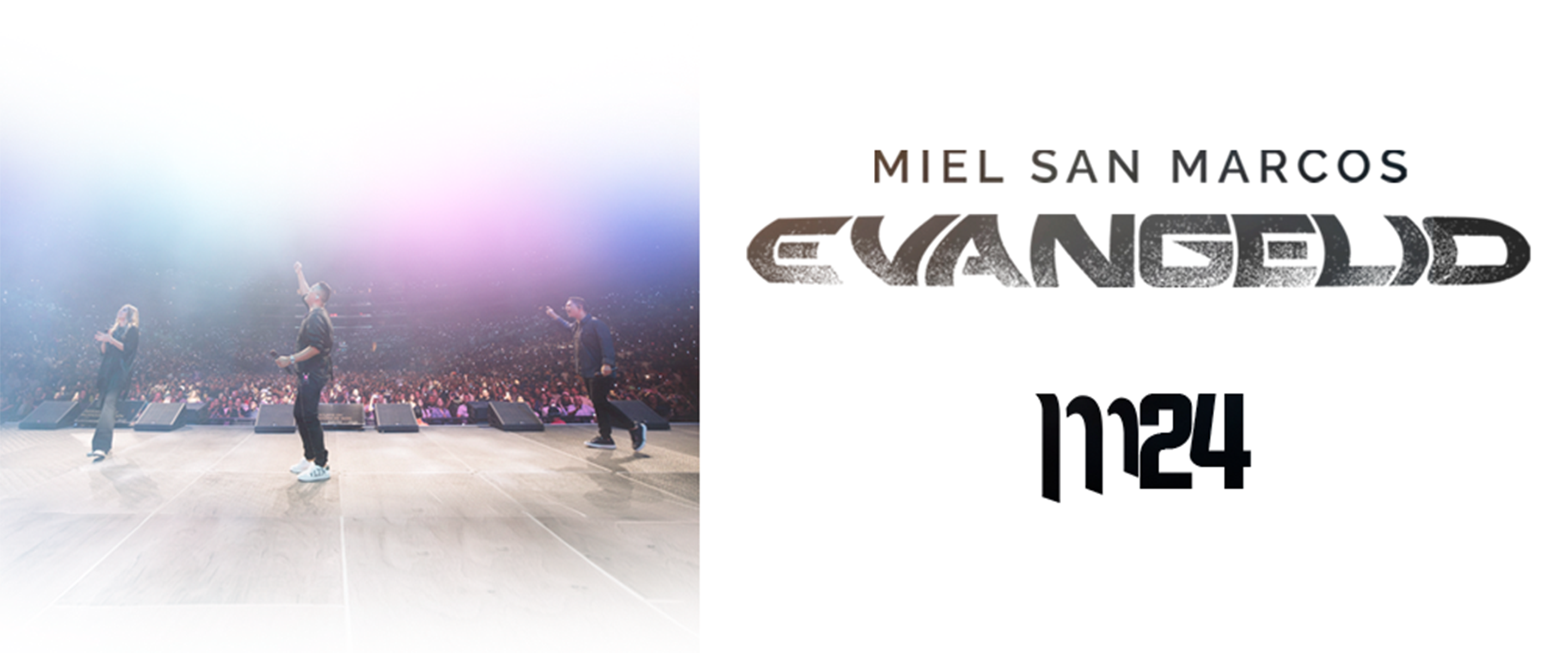 MIEL SAN MARCOS