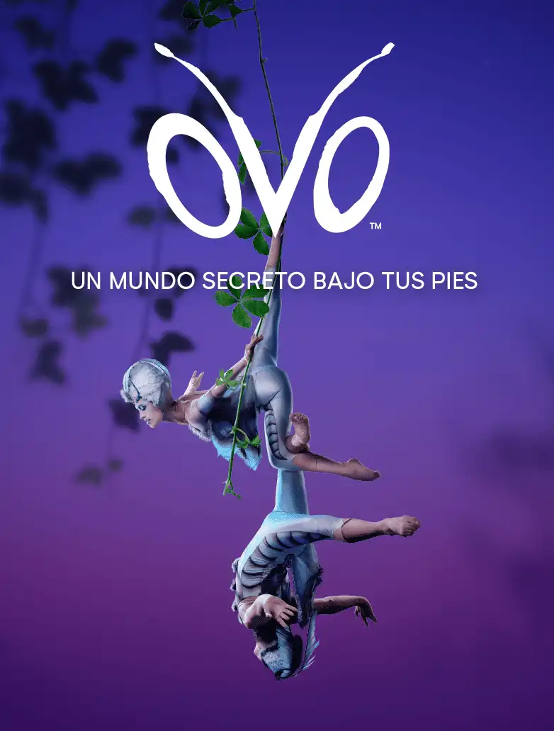 CIRQUE DU SOLEIL - OVO