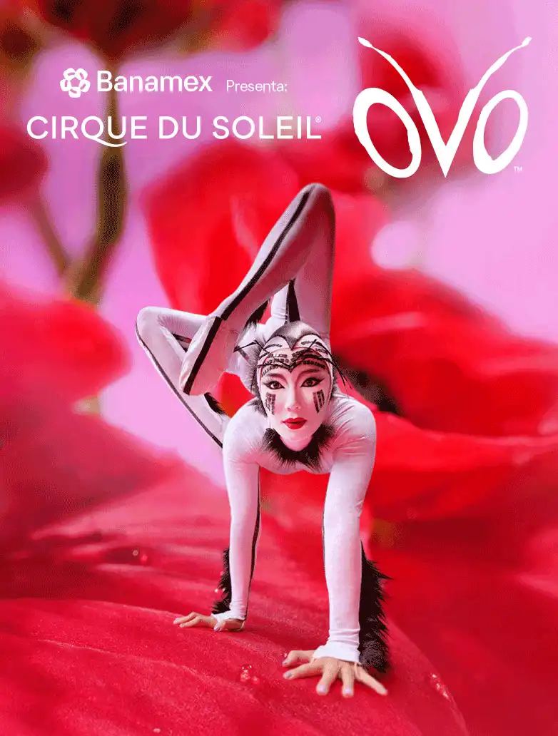 CIRQUE DU SOLEIL - OVO