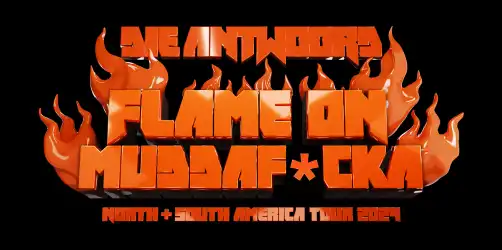 DIE ANTWOORD: FLAME ON MUDDAF*CKA - North & South