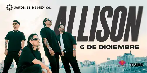 ALLISON EN CONCIERTO